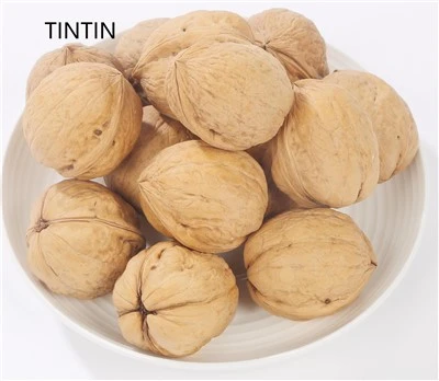 Speciali nuolaida Pigiausia 185 Walnut Inshell Xinjiang Gamintojas Walnut in Shell Paper Walnut